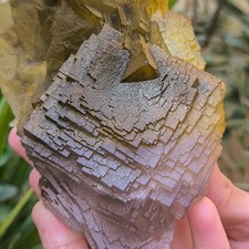 850g Natural Step Wise Cubic