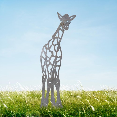 Natural steel baby - baby, giraffe