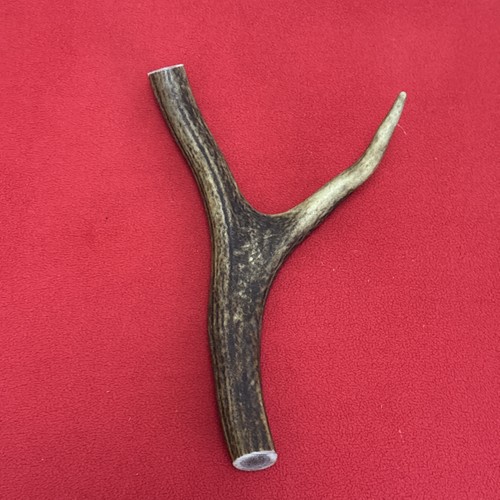 One piece deer antler y - one,