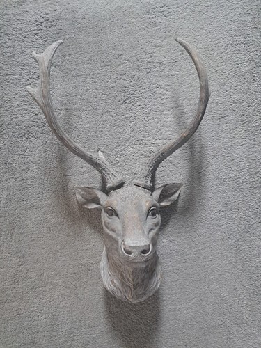 Wall mounted stag head - wall,