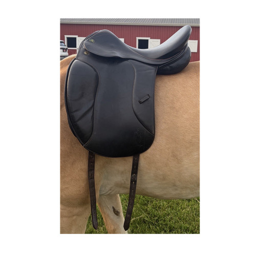 Prestige black dressage - black,