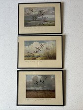 Peter Scott Framed Prints X3