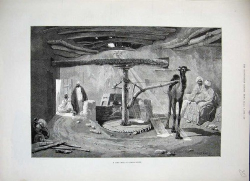 Original old antique print - original,