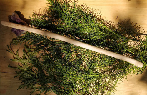 Elder wood wand healing - wand,