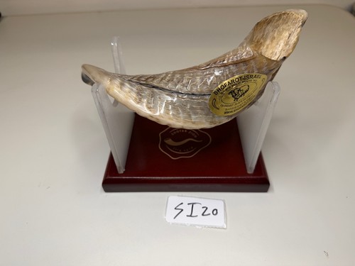 Authentic shofar from - authentic,
