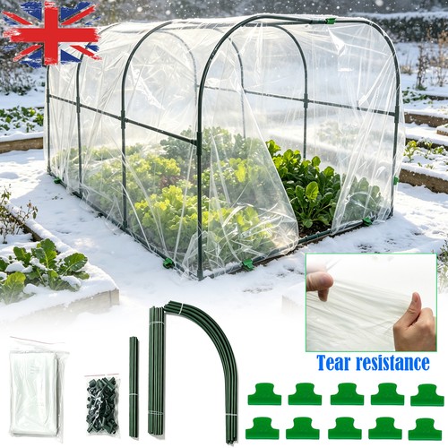 Polytunnel plant garden tunnel - polytunnel,