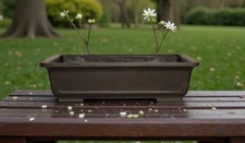 Brown Mica Bonsai Pot -