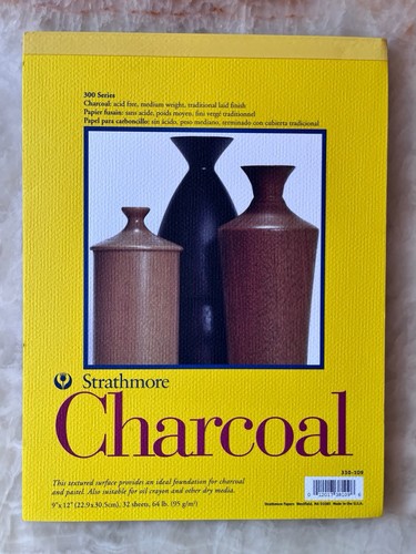 Strathmore 300 series charcoal - series,