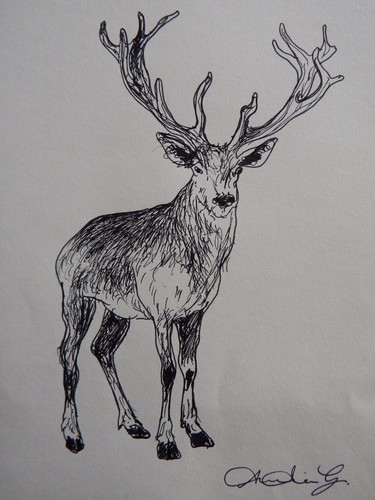 Original small pen - , line
