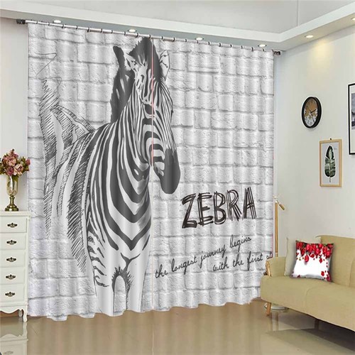 Zebra sky shine - zebra,