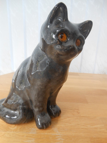 Winstanley cat rare - cat, grey