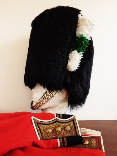 Welsh guards officer - welsh,
