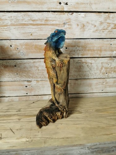 Iguana carved statue - iguana,
