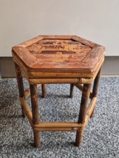 Tortoise Bamboo Vintage Plant