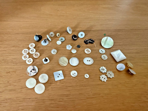 Vintage mother pearl shell - mother,