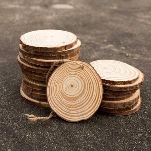 Natural wood slices craft - wood,