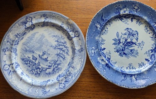 Botanical beauties blue - beauties, &