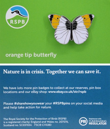 Rspb pin badge - rspb, niic
