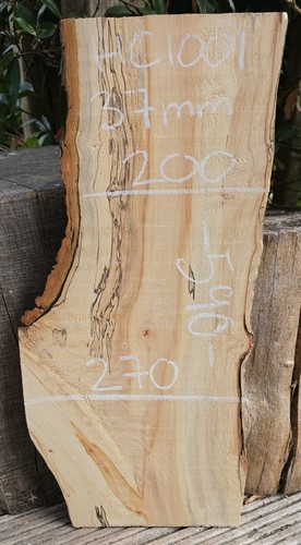 Spalted chestnut live - spalted, edge