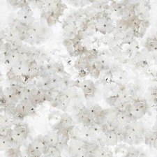 FLORAL WALLPAPER FLOWERS ROSES