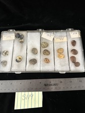 Nerita Shells Mixed Types Lot Of 17 (S119)