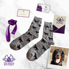 GORDON SETTER SOCKS UNISEX ONE SIZE FIT UK SIZE 5 - 11 EU 38 - 46 SETTER SOCKS
