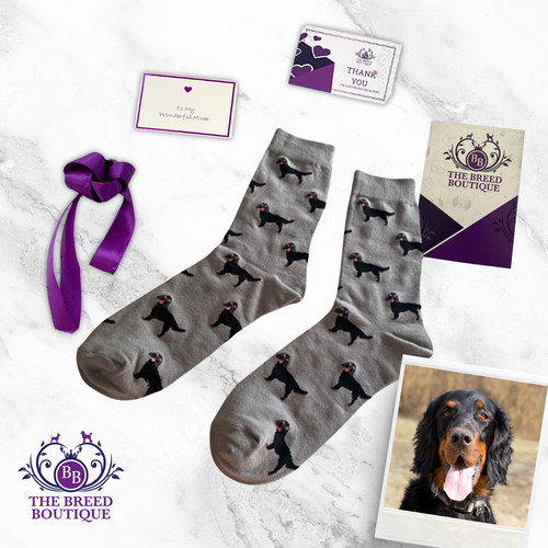 Gordon setter socks - gordon,