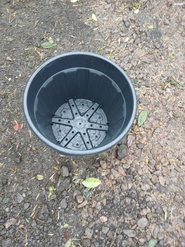 55l pots with drainage holes - pots,