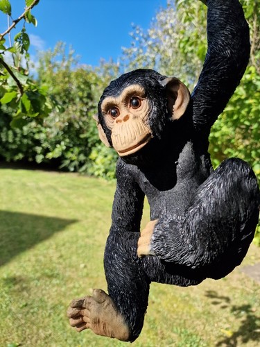 Climbing chimp monkey tree - chimp,