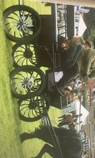 Hartland Trailblazer Carriage