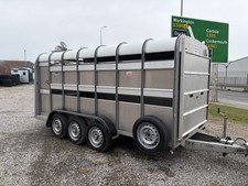 ifor williams livestock