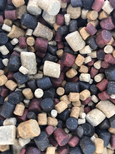 Premium fishing pellets - 5, kg