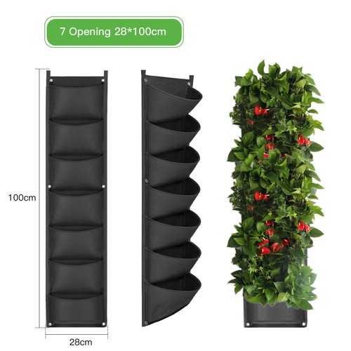Garden wall hanging planting - garden,