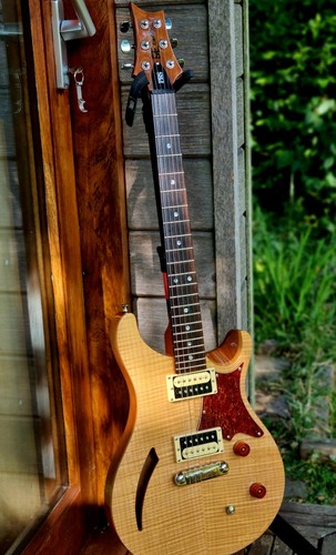 Paul reed smith - custom, 22