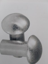 CORGI  model replacement