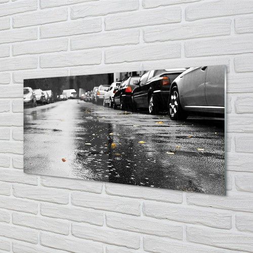 Tulup glass print 100x50 wall - 100x50,