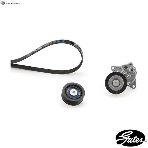 Ribbed belt kit - belt, k016pk2193