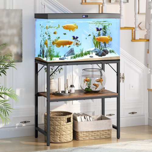 Gallon fish tank - fish,