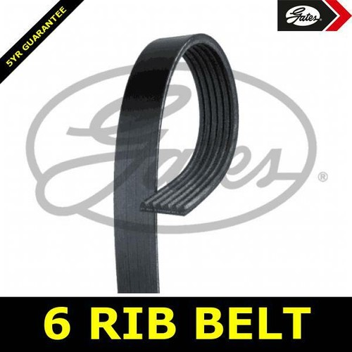Alternator belt ribbed - belt,