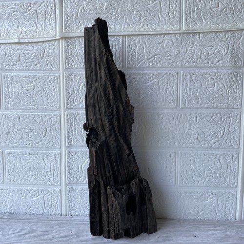 Bogwood driftwood fish - fish, tank