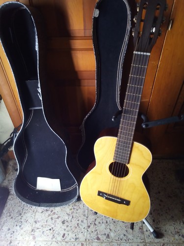 Vintage harmony h910 - h910, acoustic