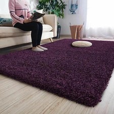 Thick Large Shaggy Rugs Non