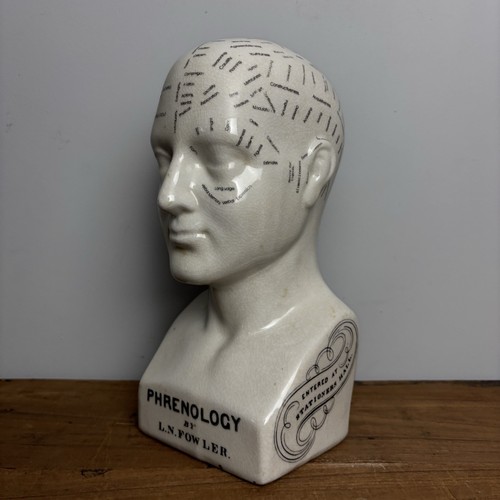 Ceramic phrenology head bust - head,