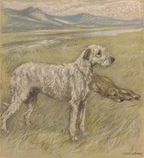 1947 IRISH WOLFHOUND DOG Print