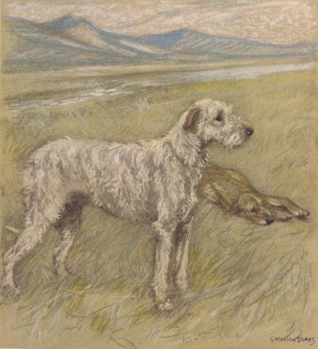 1947 irish wolfhound dog print - 1947,