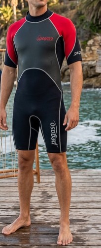 Pegaso short sleeve wetsuit - short,
