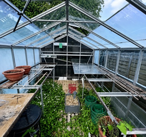 Large 12 glass - 12’,