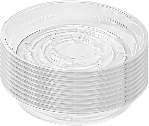 Inch clear plant - inch, (20cm)
