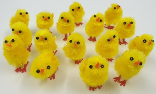 160 chicks bonnet - 1,