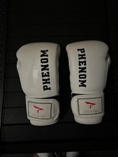 Leather Phenom 10oz Contest Gloves (not winning, fly, Cleto Reyes, grants
